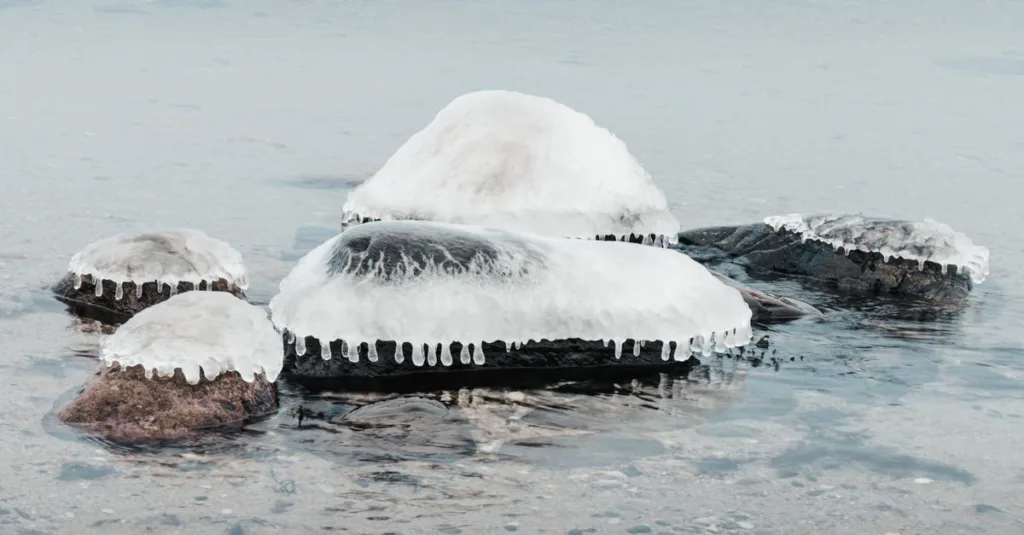 découvrez comment la température de l'eau varie en fonction des saisons, des zones géographiques et des facteurs environnementaux.